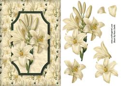 Lilies Quick Card