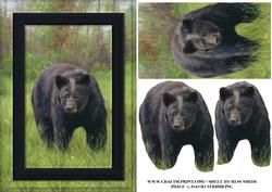 Black Bear Quick Card