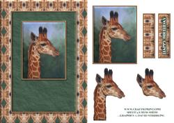 Giraffe Quick Card