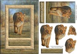 Lioness 2 Quick Card