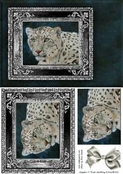 Snow Leopard Quick Card