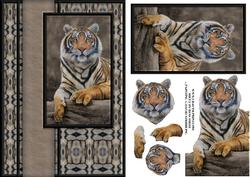 Tiger Quick Card