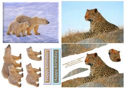 Wildlife Duodeco 1