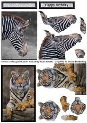 Wildlife Duodeco 2