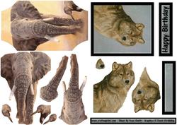 Wildlife Duodeco 3
