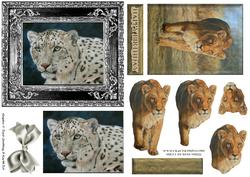 Wildlife Duodeco 4