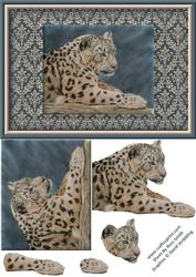 Snow Leopard Quick Card