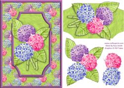 Hydrangeas Quick Card