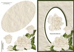 Ivory Rose Quick Aperture Card