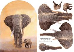 Elephants Rounded Quick Card