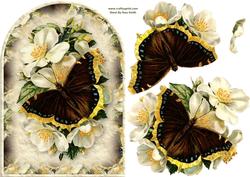 Butterfly Rounded Quick Card