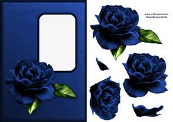 Blue Rose Aperture Card