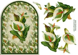Calla Lilies Rounded Quick Card