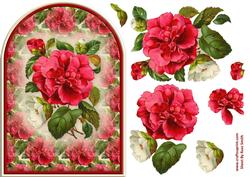 Pink & White Flowers Rounded Quick Card
