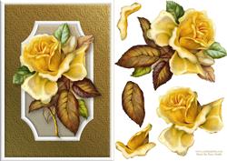 Yellow Rose Quick Card