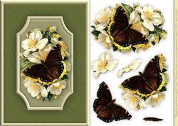 Butterfly & Flowers Quick Card