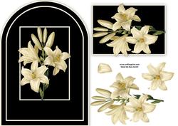 Cream Lilies on Black Rounded Quick Card (2)