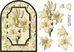 Lilies Rounded Quick Card