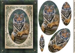 Tiger Quick Card