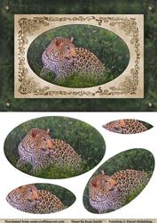 Leopard in the Grass Quick Card