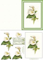 Calla Lily Card Front