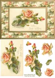 Orange Roses Quick Card