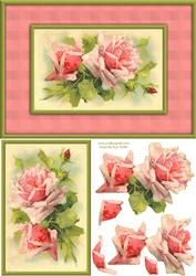 Pink Roses Quick Card