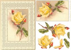 Yellow Rose Quick Card