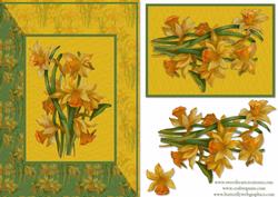 Daffodils Card Front
