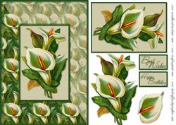 Calla Lilies Card Front