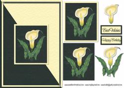 Lily Card Front