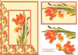 Orange Flower Card Front