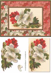 Red and White Flower Card Front