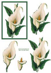 Calla Lily Easy to Cut Decoupage