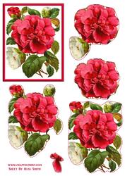Pink & White Flowers Easy to Cut Decoupage