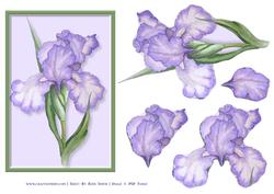 Purple Iris Easy to Cut Decoupage