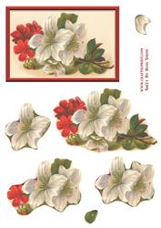 Red & White Flowers Easy to Cut Decoupage