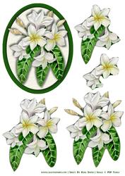 White Flowers Easy to Cut Decoupage