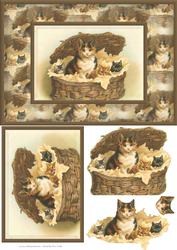 Cats Easy to Cut Quick Card
