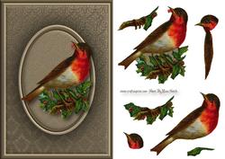 Robin Quick Card