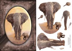 Elephant & Calf Quick Card