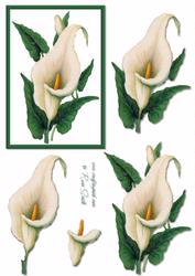 Calla Lily 3 Decoupage