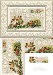 Christmas Robins Quick Card