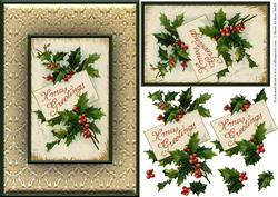 Holly Quick Card