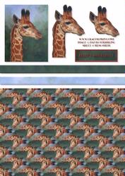 Giraffe Card Kit