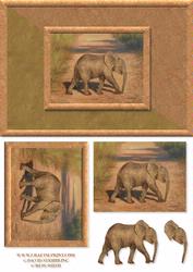 Baby Elephant Card Front