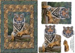 Tiger Card Front