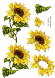 Sunflower Decoupage