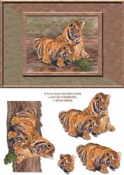 Tiger Cubs Card Front