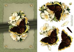 Butterfly Quick Card
